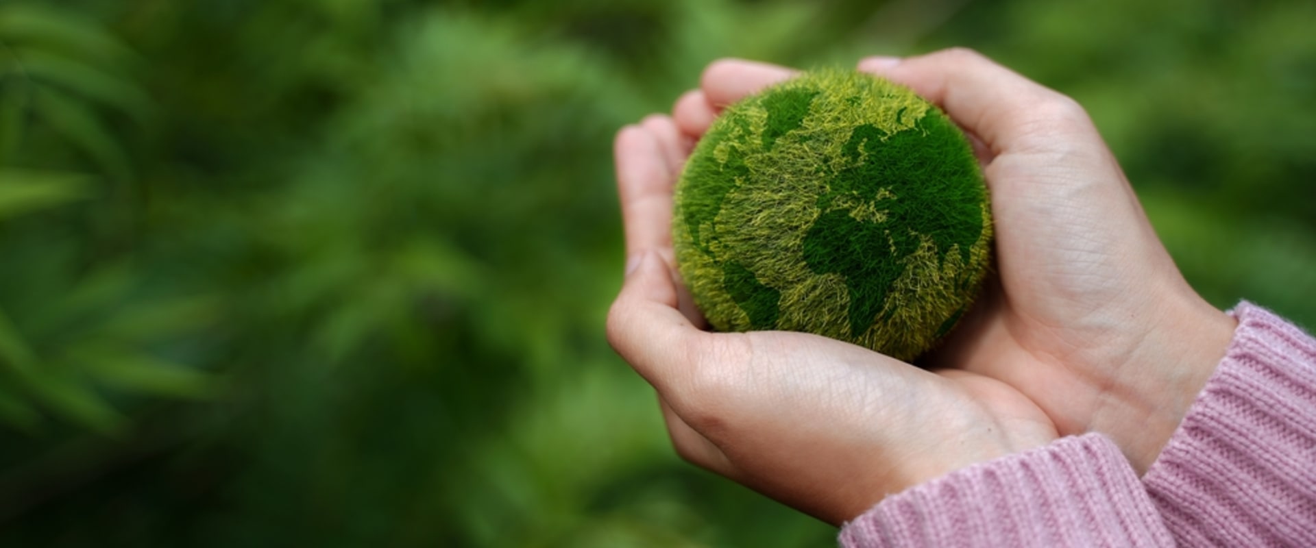 Boise's Environmental Organizations Advocating For A Healthier